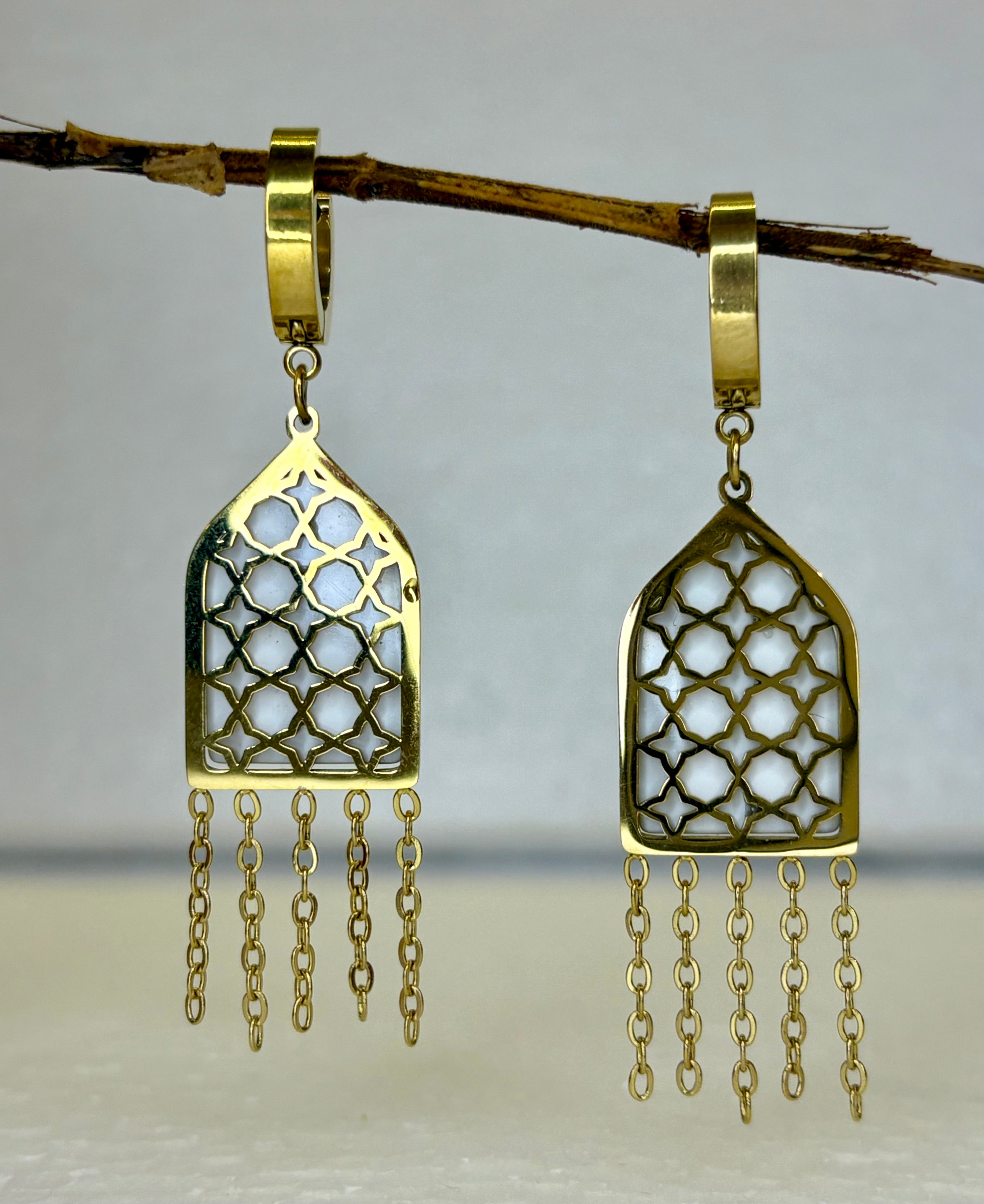 Stylish Jali Earrings